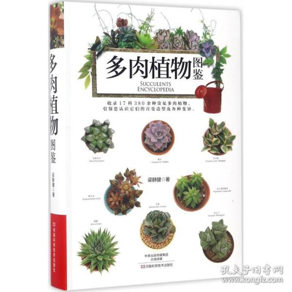 多肉植物图鉴