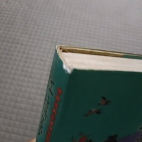 红楼梦