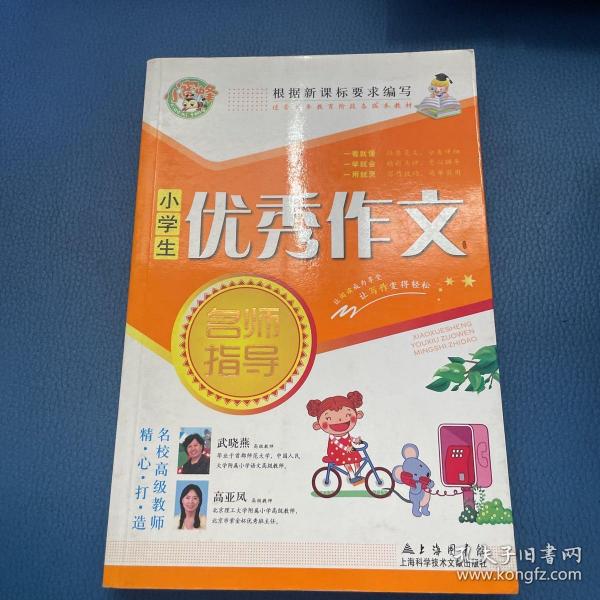 小学生优秀作文名师指导