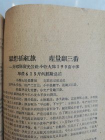 补图…老种子（96）《农业资料集》（12）《小麦生产情况》（6）河南省新乡专区小麦丰产经验：孟县、清丰县、104.5亩指挥田、浚县卫贤公社裴营青年小队、浚县巨桥公社、小河公社、沁阳县城关公社、百泉农专实习农场稻茬麦、阜城大队、内黄井店、安阳曲沟、马庄、沁阳西向公社青年试验场、濮阳县柳屯公社里信大队、封丘黄陵公社海庄大队、南乐县、洑阳县庆祖公社等