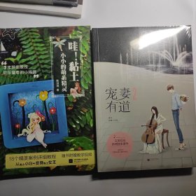 哇黏土:小小的萌系精灵 +宠妻有道2 未拆封