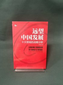 远望中国发展——十大领域的战略分析 中国式现代化行动指南 张国有