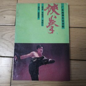 广东南拳名家套路《侠拳》