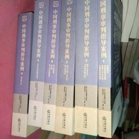 中国刑事审判指导案例（1）：总则部分·危害国家安全罪·危害公共安全罪·危害国防利益罪（最新增补版）