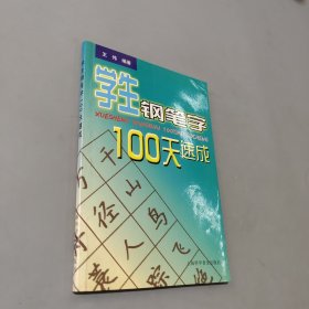 学生钢笔字100天速成
