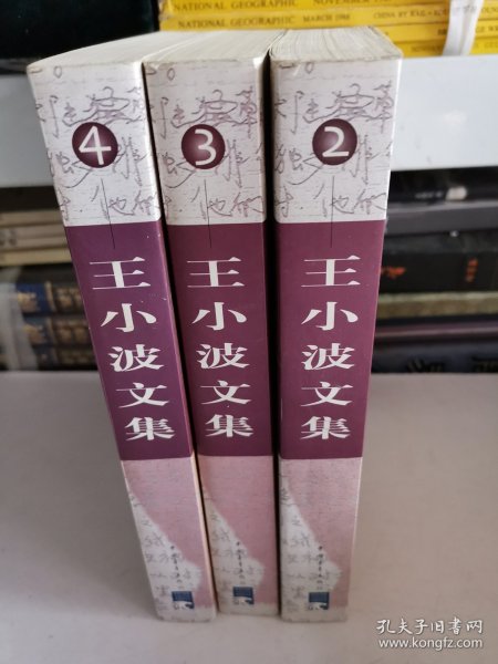 王小波文集(4卷)