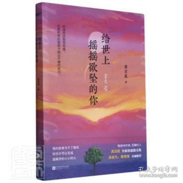 给世上摇摇欲坠的你 畅销书作家黄青蕉全新治愈散文集。33篇温暖且真实的故事，从你的全世界温暖路过。风炫出品