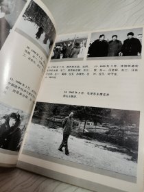 汪东兴日记