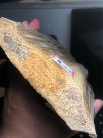 种植 奇楠香木料