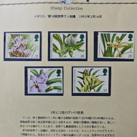 英国邮票 1993年兰花.植物花卉 5全 新 定位页为背景图
