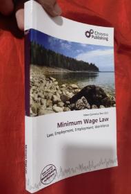 Minimum Wage Law 【详见图】