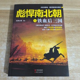 彪悍南北朝之铁血后三国