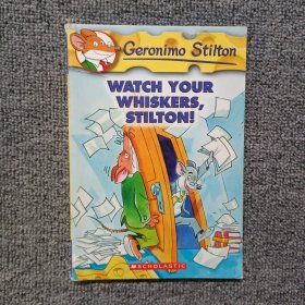 Geronimo Stilton 17