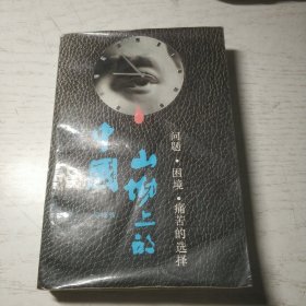 山坳上的中国：问题·困境·痛苦的选择