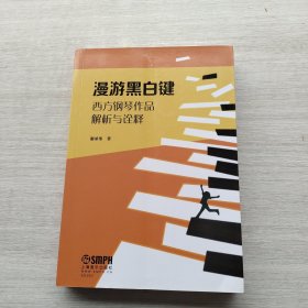 现货：《漫游黑白键--西方钢琴作品解析与诠释》