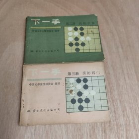 下一手（2.3合售）