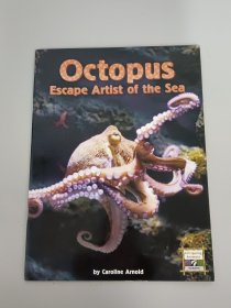 Octopus Escape Artist of the sea