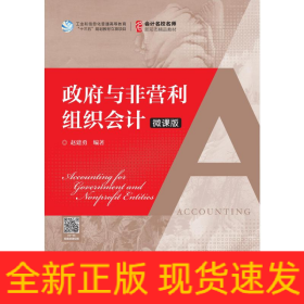 政府与非营利组织会计(微课版)/赵建勇