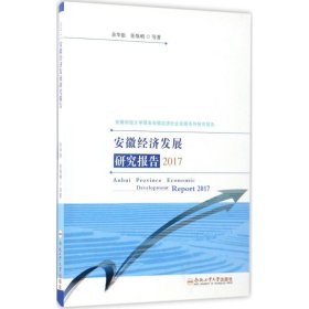 安徽经济发展研究报告2017