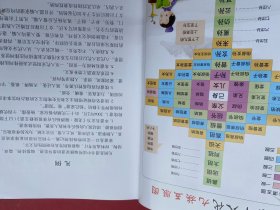 龙陵·赧洒杨氏有林祖续修支谱 杨氏支谱 大16开精装