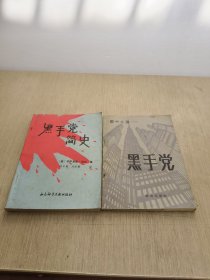 国中之国—黑手党+黑手党简史(2册合售)