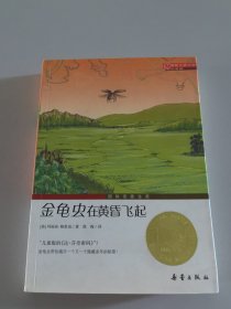 国际大奖小说（升级版）：金龟虫在黄昏飞起