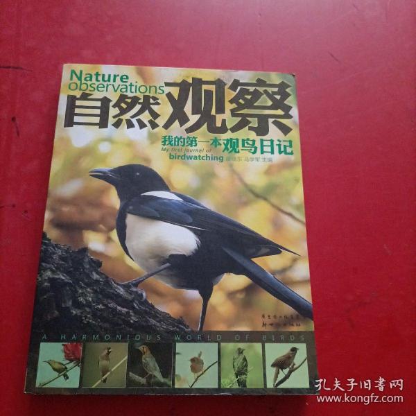 自然观察：我的第一本观鸟日记
