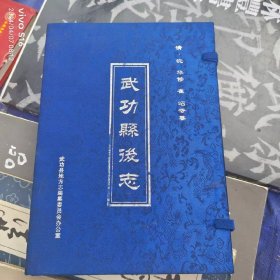 武功县后志【上下带盒】 全新未翻阅