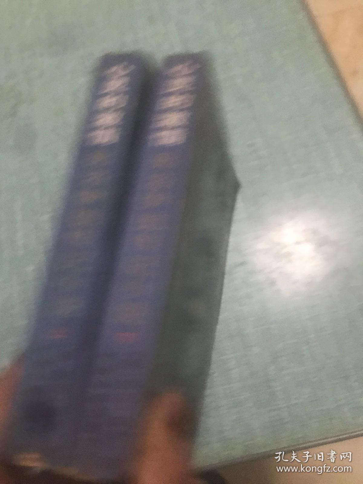 心灵的激情 （上下册）