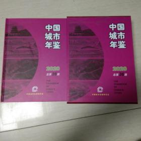 中国城市年检2020