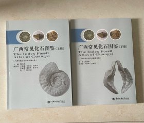 广西常见化石图鉴 上下册