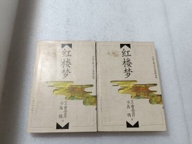 中国古典文学名著精品集（红楼梦上下)