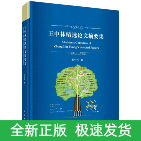 王中林精选论文摘要集