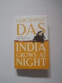 India Grows At Night