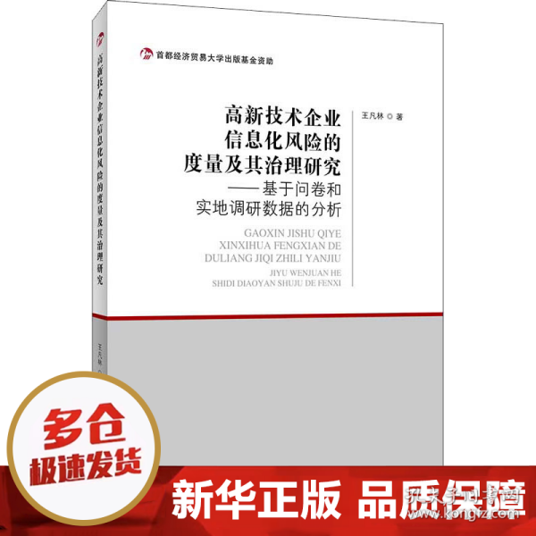 高新技术企业信息化风险的度量及其治理研究