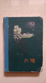 日记本，1968-1974年的，写了差不多一本的日记