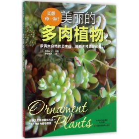 新华正版 真想种一种!美丽的多肉植物 (日)胜地末子 监修;妙聆妈妈 译 9787534988592 河南科学技术出版社