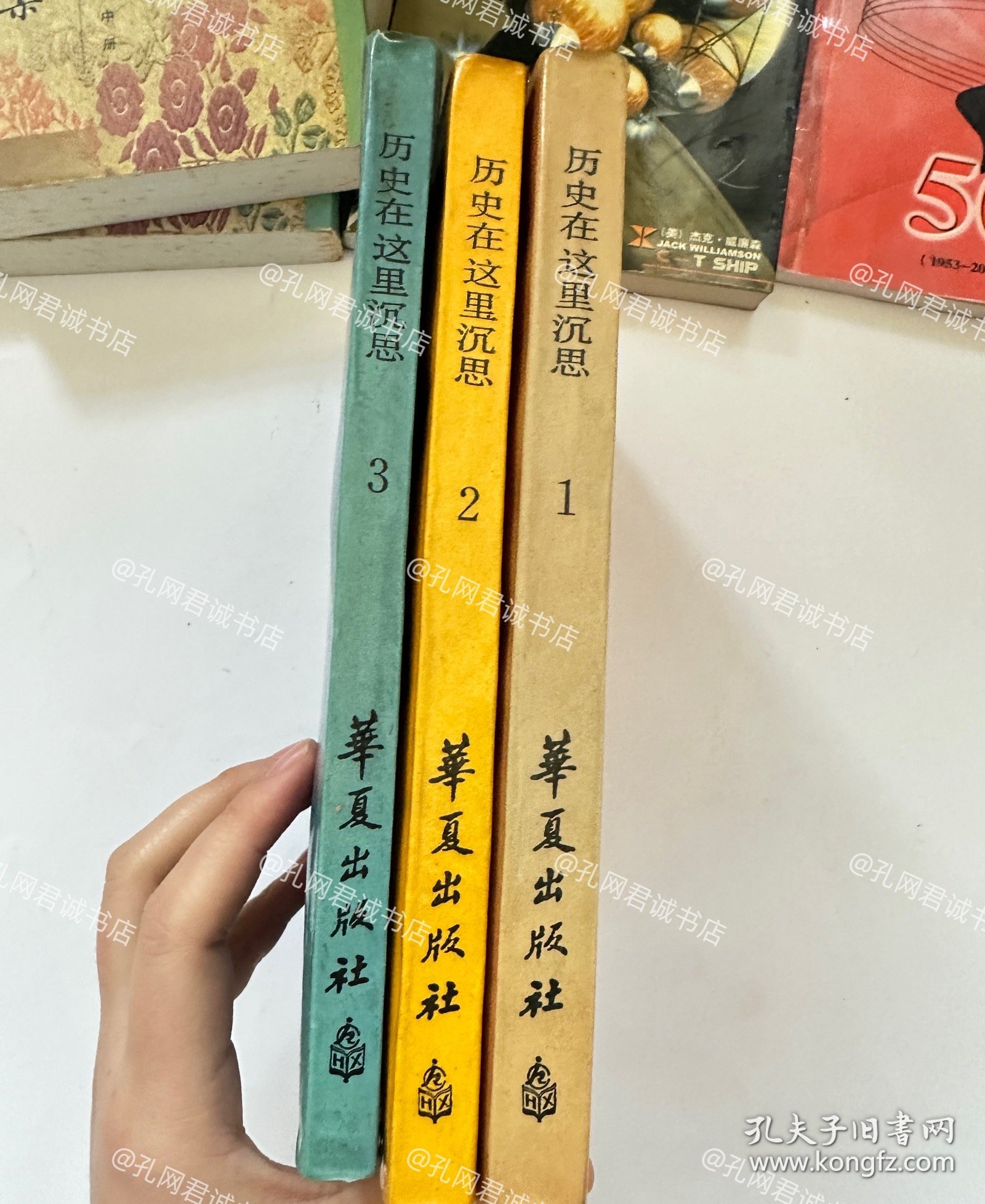 历史在这里沉思——1966-1976年纪实1.2.3三册合售