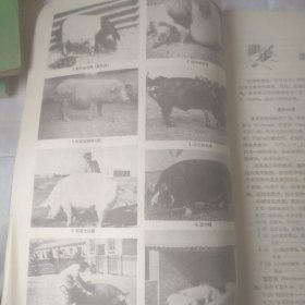 生物学通报 1956年3期