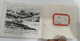 《雪莲》