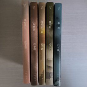 迟子建短篇小说自选集5本