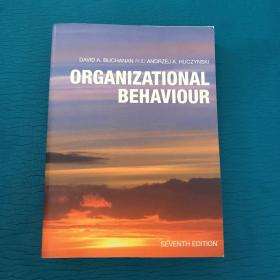 Organizational behavior seventh edition