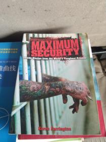 Maximum Security（英文 原版）