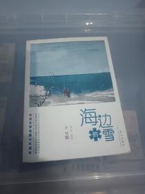 海边的雪