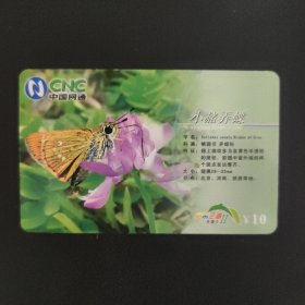 中国网通 宽带三晋充值卡 SX-KDSW-1（6-2）小赭弄蝶