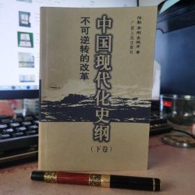 中国现代化史纲（下卷）不可逆转的改革
