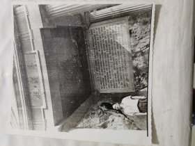 老照片：捉蒋亭前留影
