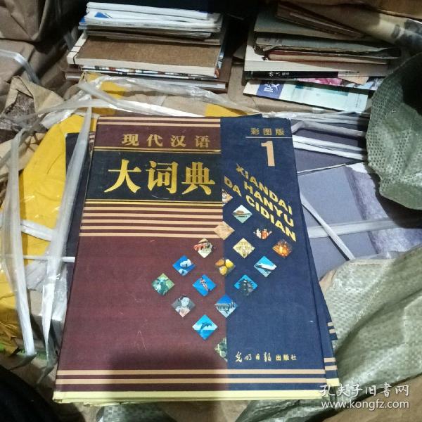 现代汉语大词典:彩图版