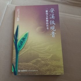 安溪铁观音：一棵伟大植物的传奇