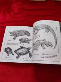 世界动物百科图谱(全4册)